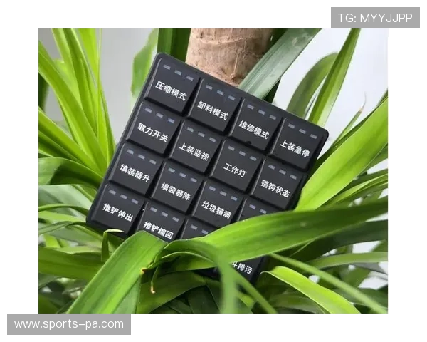 乐鱼电子有限公司：以客户需求为导向的定制化电子产品解决方案提供者